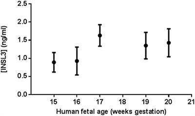 Insulin-Like Peptide 3 (INSL3) Serum Concentration During Human Male Fetal Life